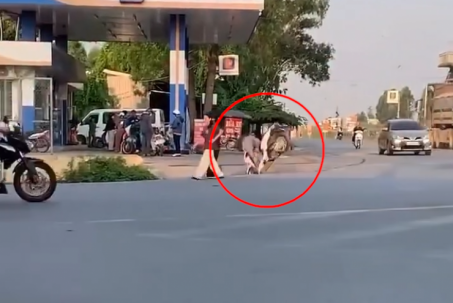 Clip: Mải nhìn "nơi khác", người đàn ông phóng xe cắm thẳng xuống rãnh thoát nước