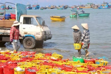 Biển mở lộc, cá cơm trắng bờ