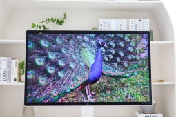 LG Smart Monitor Swing - màn hình sáng tạo gắn kết gia đình trẻ