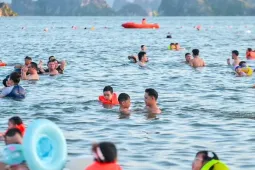 Nô nức đi biển Hạ Long