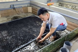 Rời phố về quê, trai làng Quảng Trị nuôi con vật này dày đặc, chưa từng bị "quá lứa"