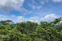 Phong Nha - Kẻ Bàng được công nhận là Khu Dự trữ sinh quyển thế giới