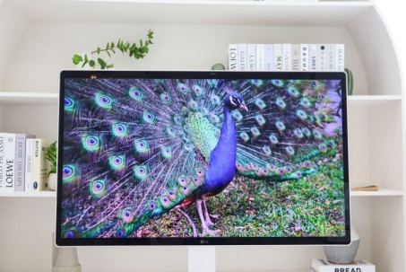 LG Smart Monitor Swing - màn hình sáng tạo gắn kết gia đình trẻ