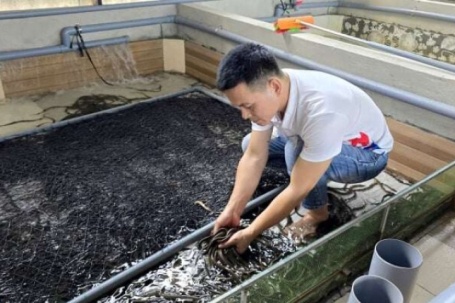 Rời phố về quê, trai làng Quảng Trị nuôi con vật này dày đặc, chưa từng bị "quá lứa"