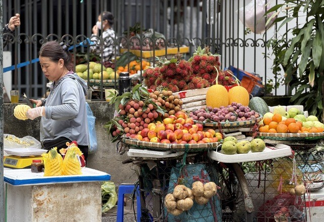 Có nhiều loại dứa được bày bán trên thị trường, người tiêu dùng cần lưu ý khi mua để lựa chọn được quả ngon nhất.