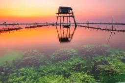 Khung cảnh 'siêu thực' trên bãi biển nổi tiếng Hưng Yên