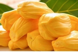 Ăn quá nhiều mít có thể gây tác động không ngờ đến sức khỏe