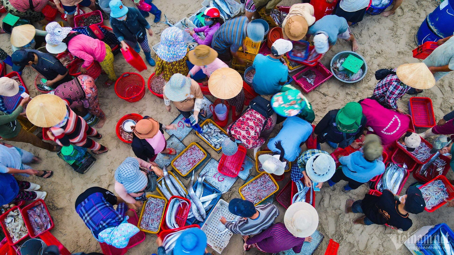 Chợ cá nhộn nhịp sáng sớm