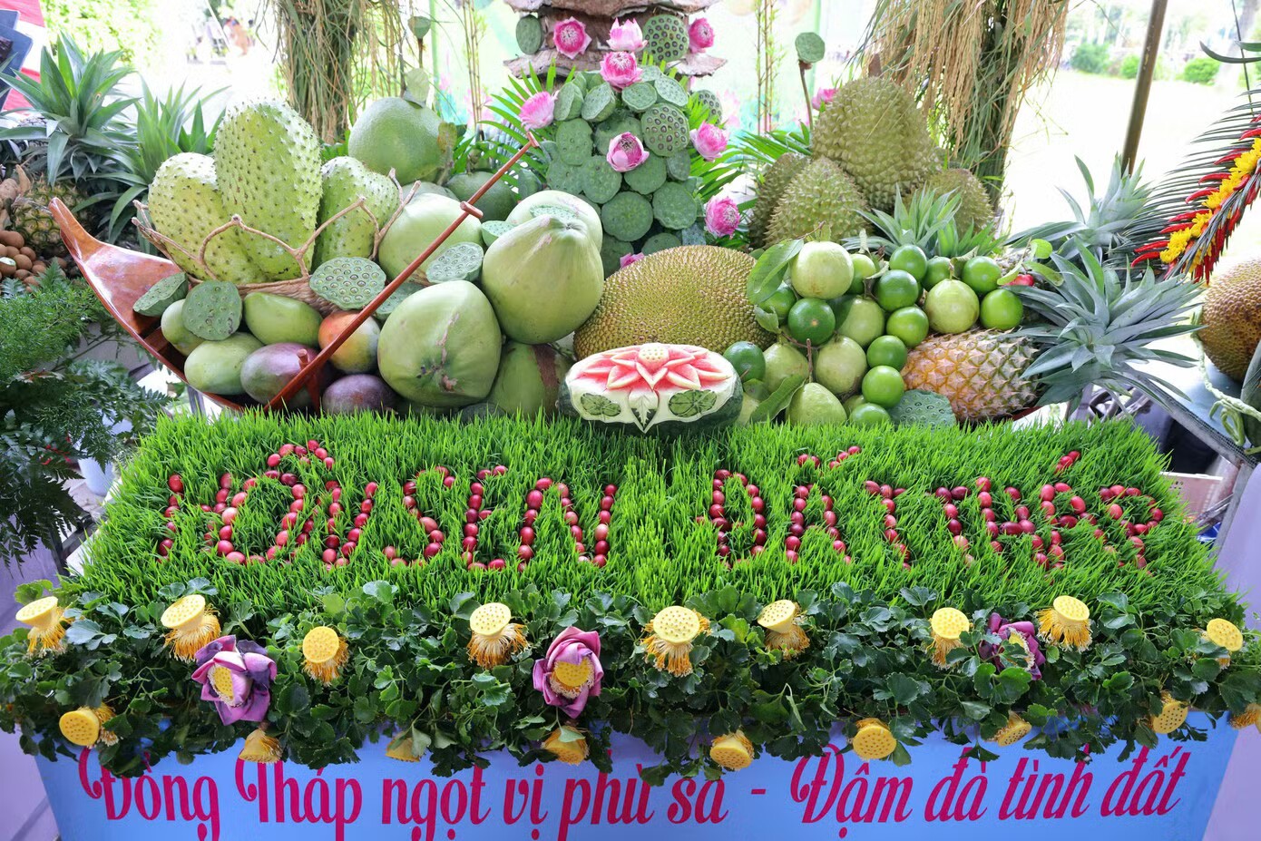 Tạo hình trái cây độc đáo ở lễ hội lớn nhất Đồng Tháp - 14
