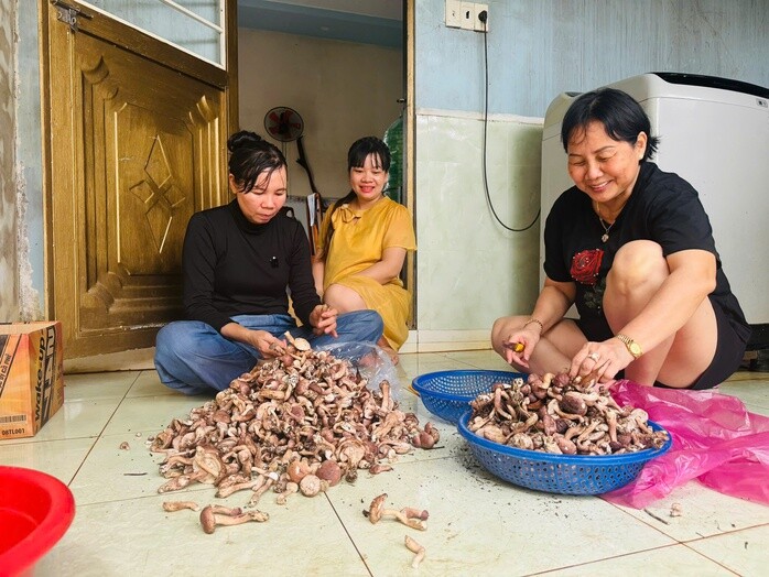 VIDEO: Nghỉ hè, học sinh ở Phú Quốc vào rừng “săn lộc trời” - 4