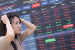 Điều gì khiến VN-Index rơi tự do gần 50 điểm, chính thức thủng mốc 1.800 điểm?