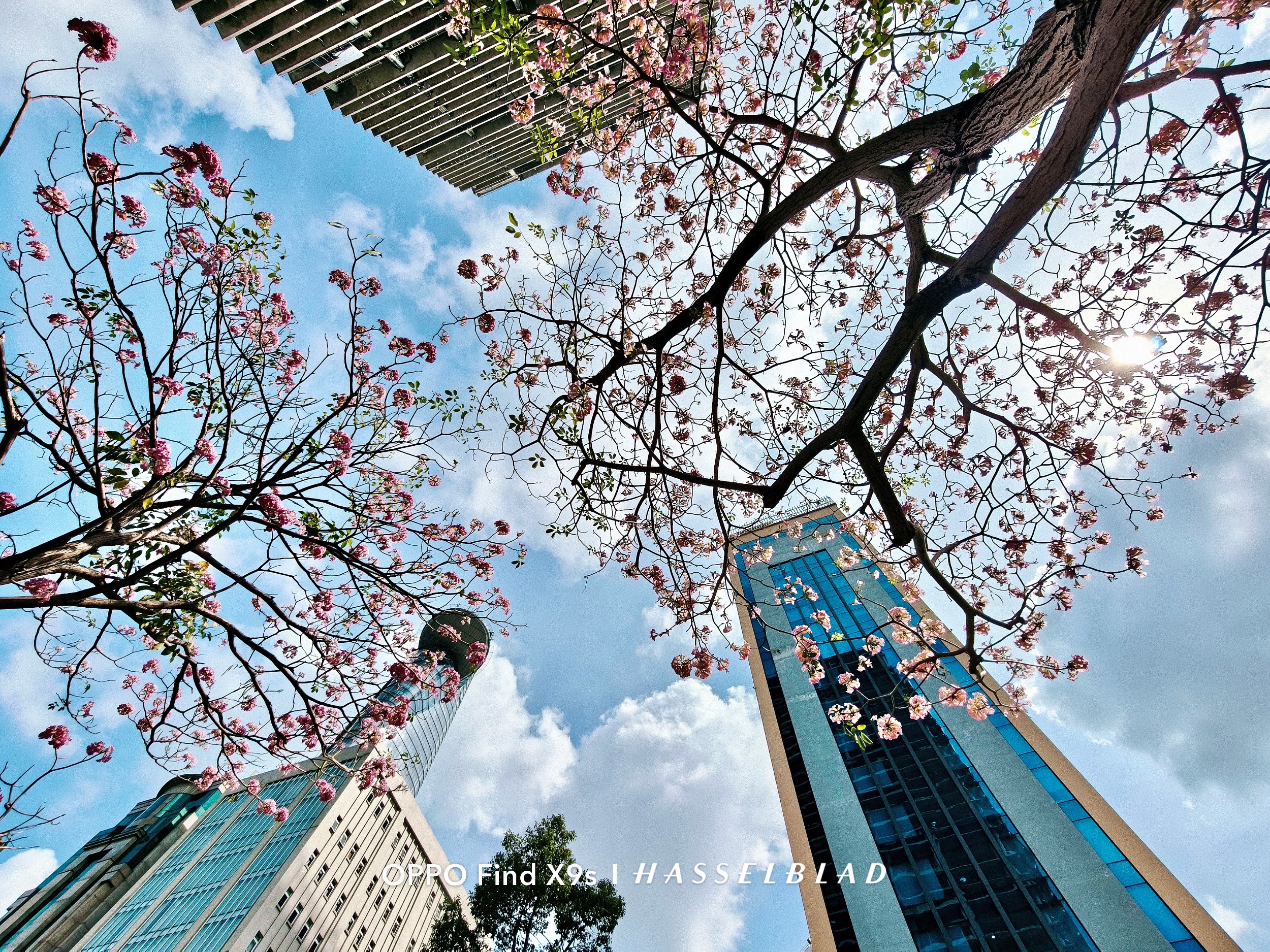 OPPO Find X9s: Chiếc flagship nhỏ gọn cho những chuyến đi nhiều cảm xúc - 3