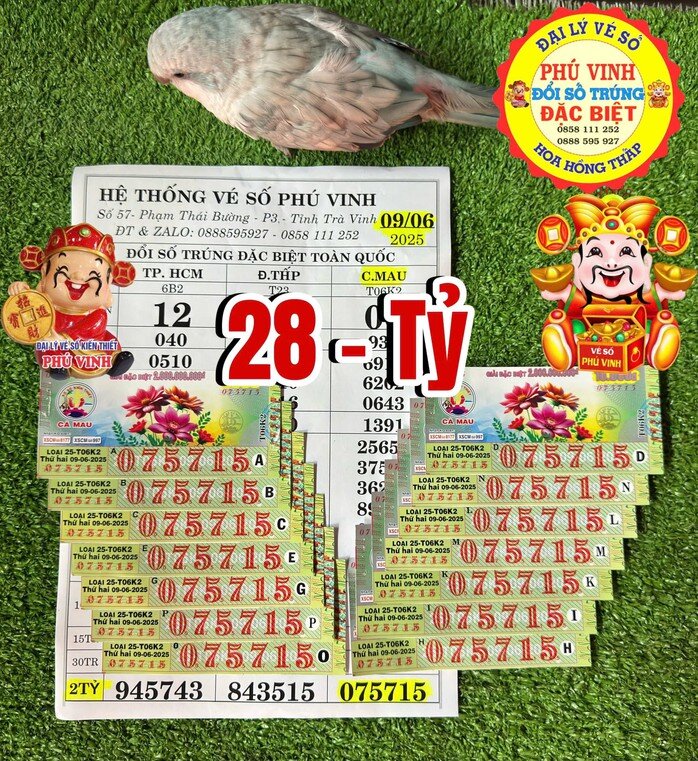Giải độc đắc của vé số Cà Mau trúng tại tỉnh Vĩnh Long đúng một năm trước. Ảnh: ĐLVS Phú Vinh