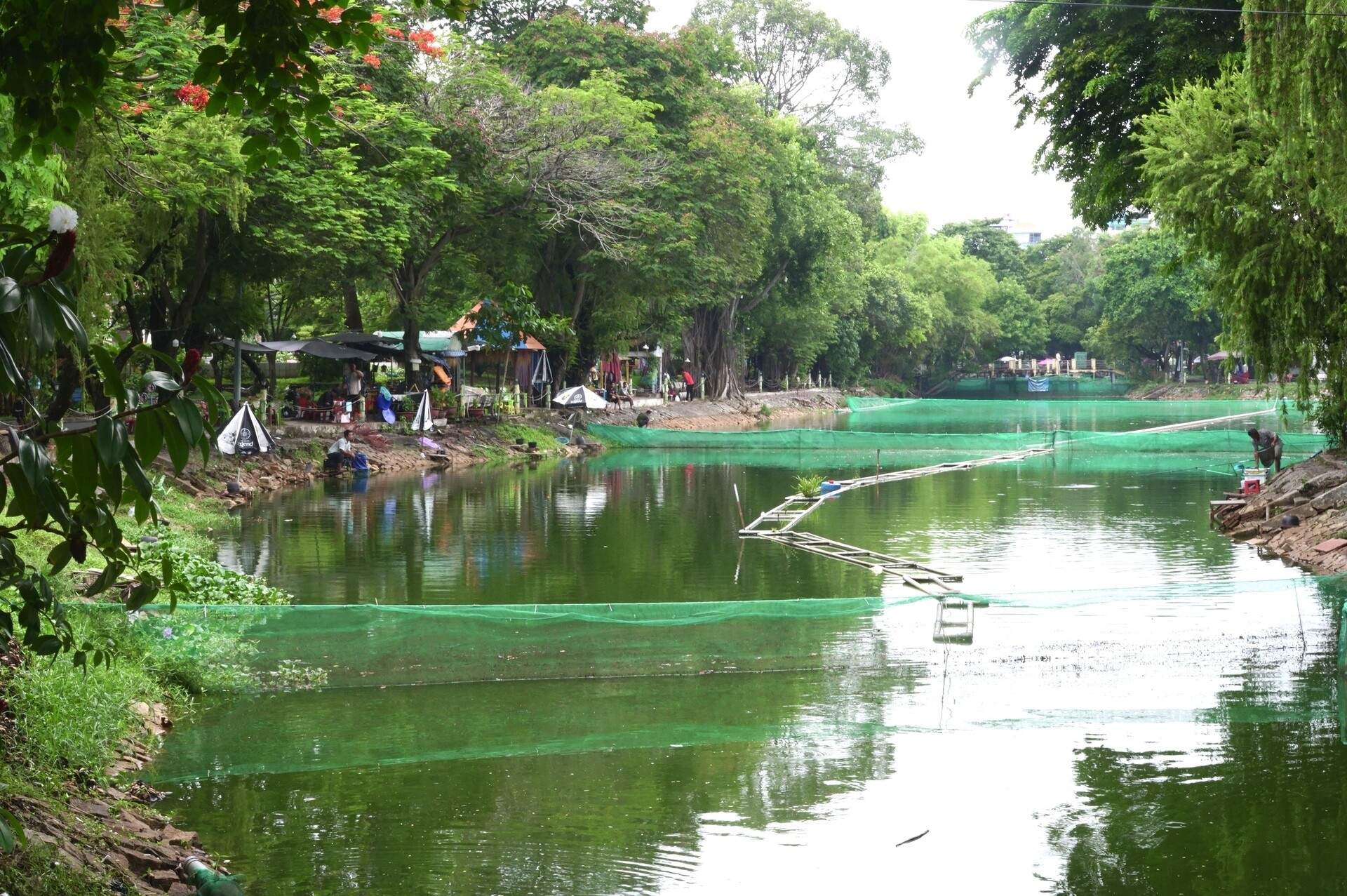 Nghĩa trang Chí Hoà - Công viên Lê Thị Riêng ngày nay.