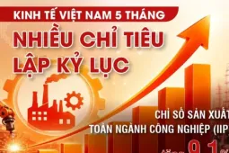 Kinh tế Việt Nam 5 tháng: Nhiều chỉ tiêu lập kỷ lục
