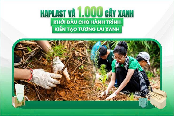 HAPLAST và 1.000 cây xanh - Khởi đầu cho hành trình kiến tạo tương lai xanh