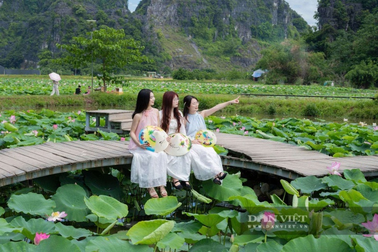 Những "nàng thơ" kiêu kỳ tỏa sáng giữa lòng di sản Ninh Bình. Ảnh: NL