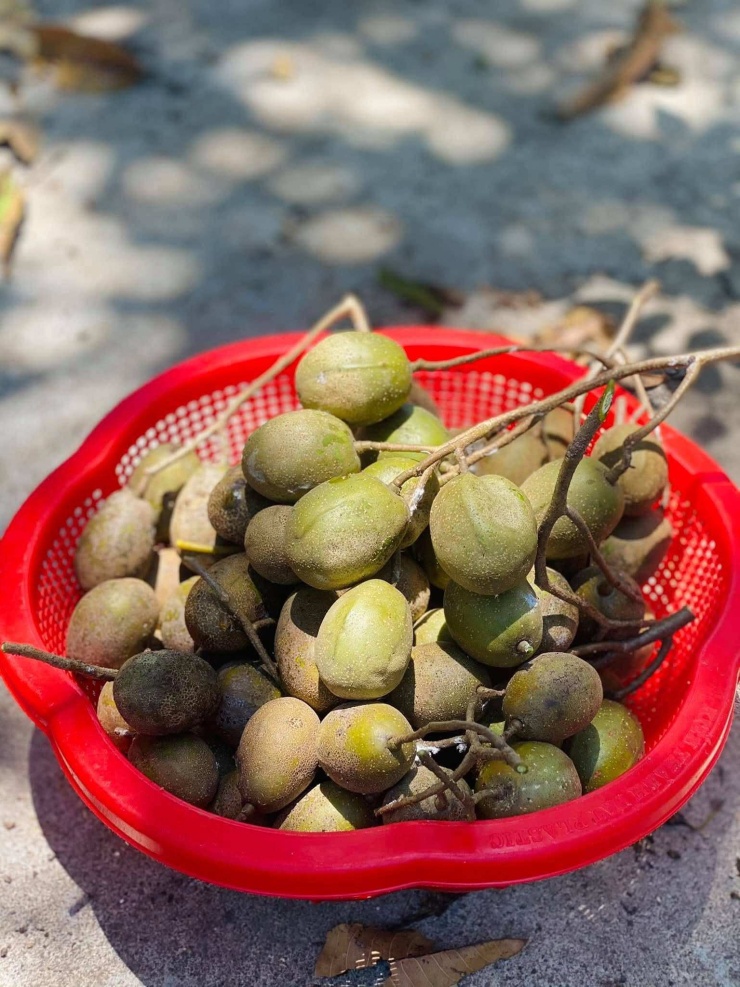 Hàm lượng vitamin C trong loại quả này không hề thua kém cam, chanh,
