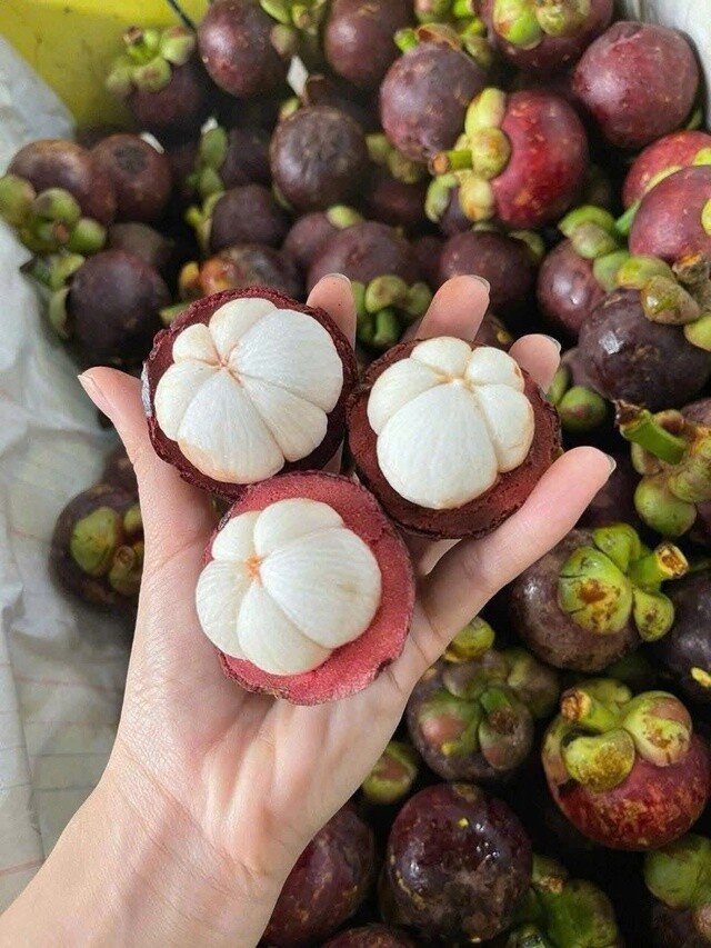 Măng cụt là loại trái cây rất được ưa chuộng vì mùi vị thơm ngon, được mệnh danh là "nữ hoàng trái cây".