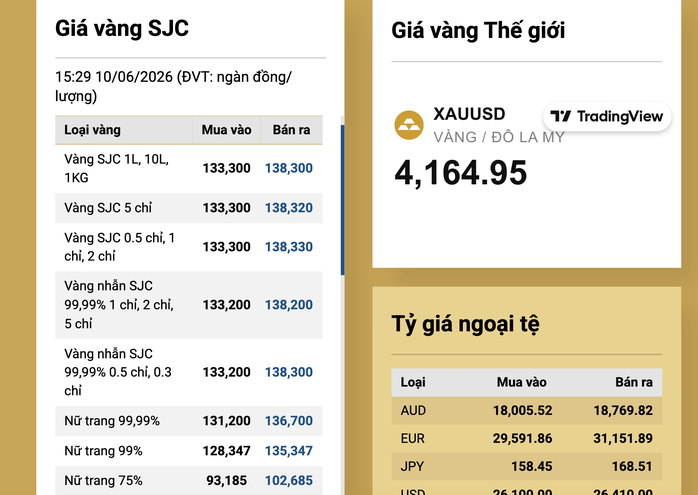 Vì sao giá vàng miếng SJC, vàng nhẫn lao dốc? - 3