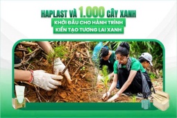 HAPLAST và 1.000 cây xanh - Khởi đầu cho hành trình kiến tạo tương lai xanh