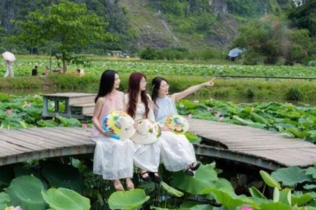Hút hồn mùa sen Hang Múa: "Nàng thơ" kiêu kỳ tỏa sáng giữa lòng di sản Ninh Bình
