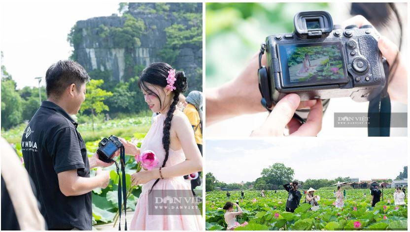 Người thợ chụp ảnh hướng dẫn du khách tạo dáng để có những bức hình đẹp giữa đầm sen. Ảnh: NL