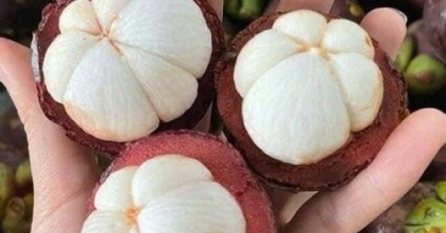 Điều gì xảy ra với cơ thể khi thường xuyên ăn măng cụt?