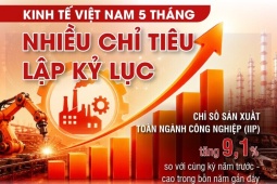 Kinh tế Việt Nam 5 tháng: Nhiều chỉ tiêu lập kỷ lục