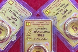 Giá vàng hôm nay 11/6: Vàng SJC, vàng nhẫn Bảo Tín Minh Châu, Doji, Phú Quý còn giảm bao nhiêu?