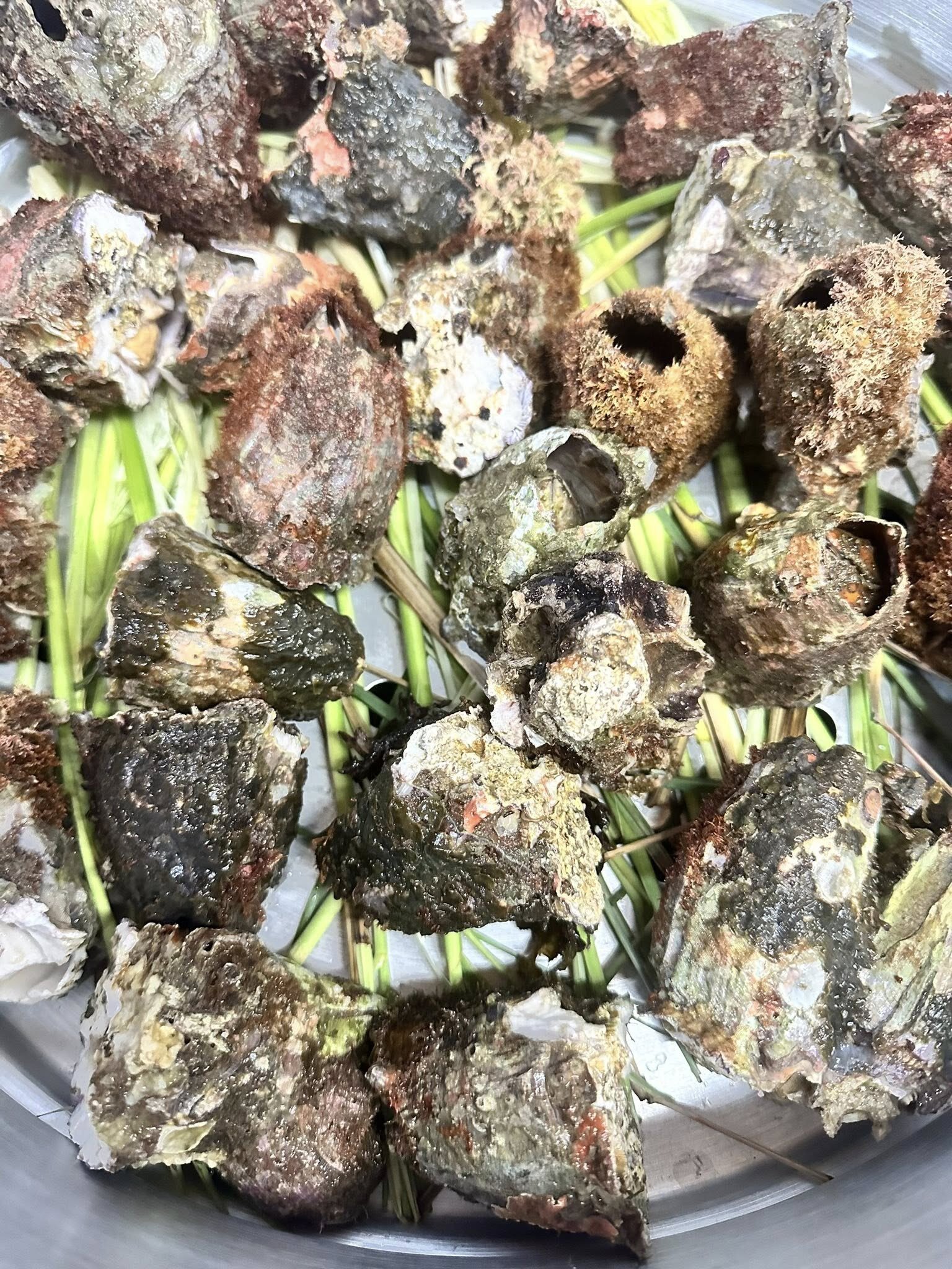 Món sôn hấp/luộc sả được nhiều thực khách yêu thích. Ảnh: Mai Misa
