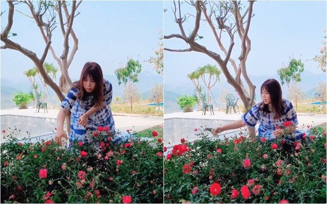 Khu vực sân vườn nằm bao quanh căn nhà và có diện tích rộng rãi, được vợ chồng Mạnh Trường trồng nhiều cây hoa, cây ăn trái quanh năm.