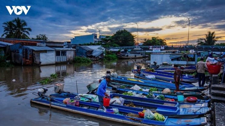 Dưới bến sông Nguyễn Văn Trỗi, tiếng lạch cạch của những chiếc vỏ lãi cặp bến hòa cùng tiếng cười nói rộn ràng của giới thương hồ, tạo nên một thứ âm thanh đặc quánh phù sa, sống động và đầy sức gợi.