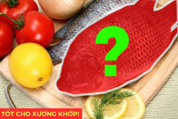 Tin tức sức khỏe - Việt Nam có 1 loại cá mệnh danh là "gà nước", thịt thơm ngon lại là “thuốc đại bổ” xương khớp