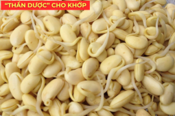 Tin tức sức khỏe - “Tái sinh” khớp gối với món ăn đại bổ giúp khớp cử động trơn tru