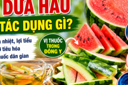 Đừng vội bỏ thứ này: Bộ phận ít ai ngờ lại là vị thuốc thanh nhiệt, lợi tiểu trong Đông y