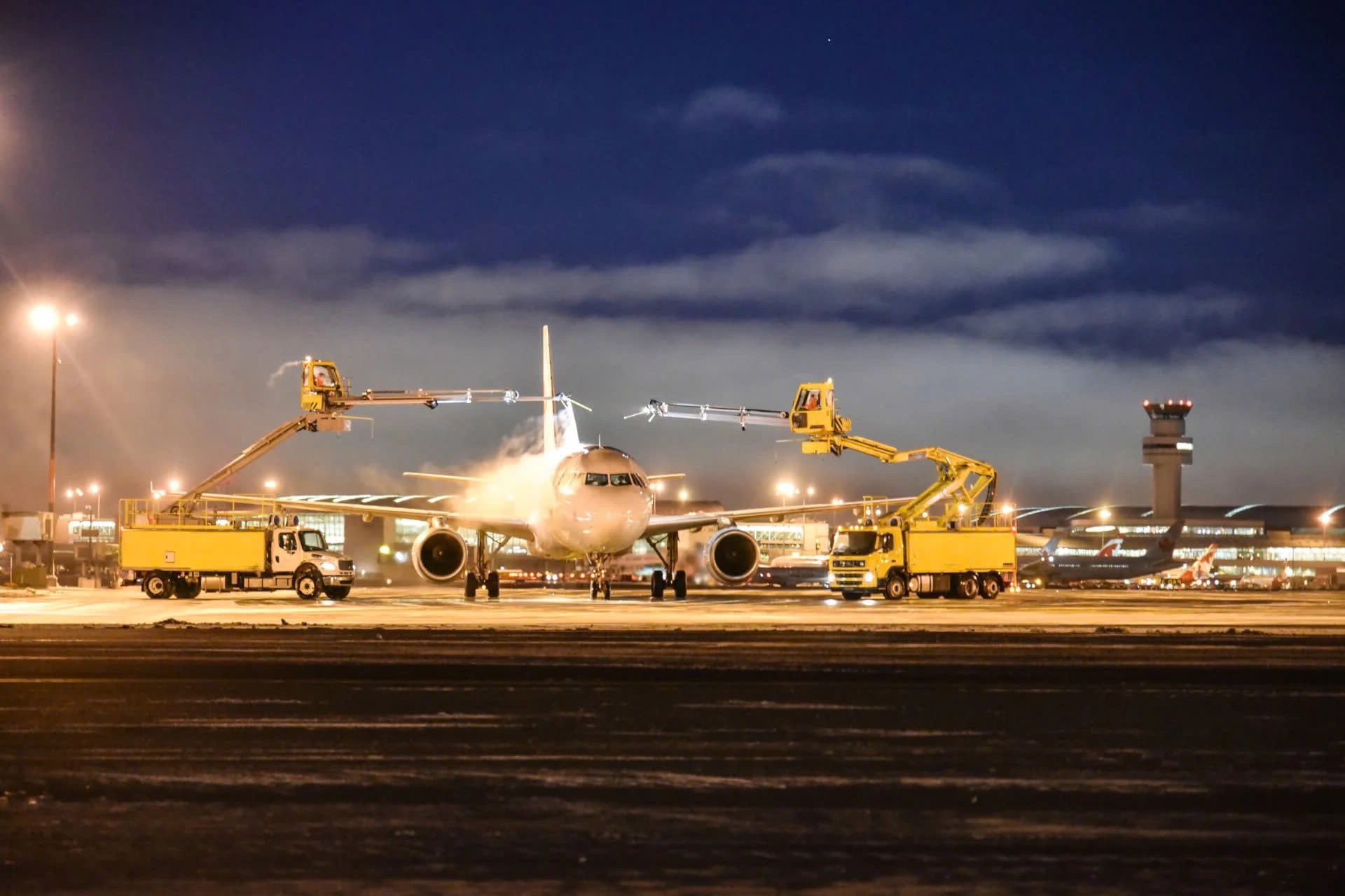 Chuyên cơ chở lô heo nái cụ kỵ, ông bà từ Canada đã về tới Cảng Hàng không quốc tế Tân Sơn Nhất