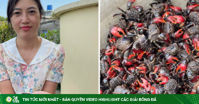 Đặc sản 'chui lên từ lòng đất' ở Ninh Bình nấu canh ngon, vị ngọt như cua đồng