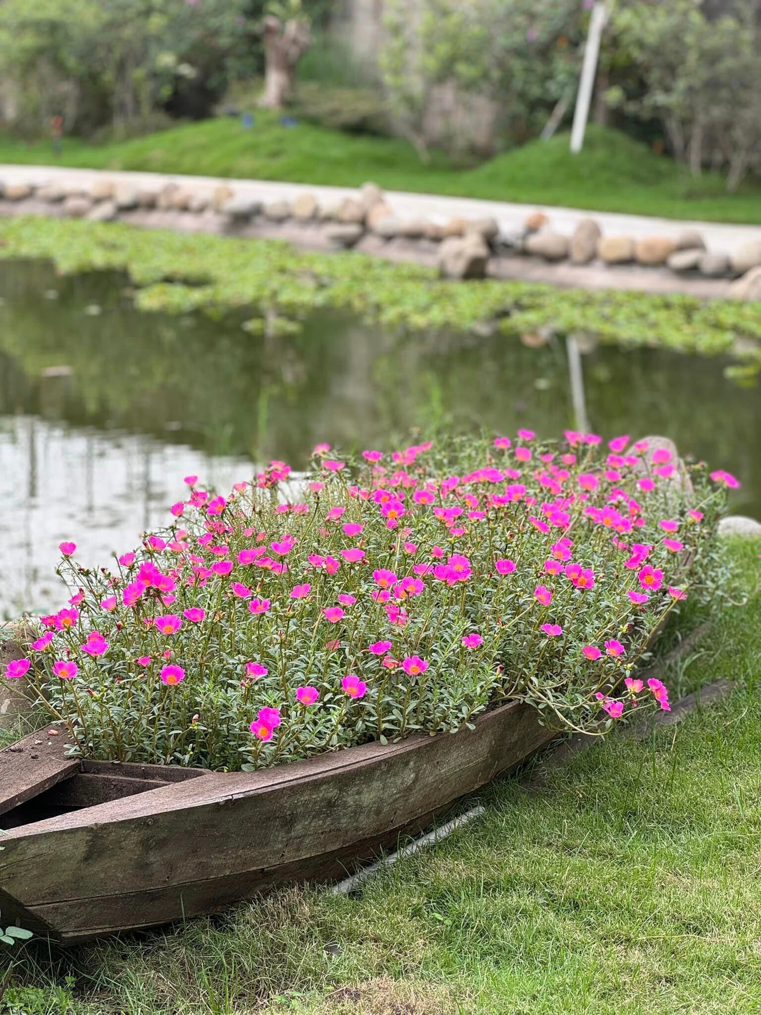 Một số hình ảnh nhà vườn của Mỹ Tâm ở Củ Chi. Ảnh: Chụp màn hình, FBNV