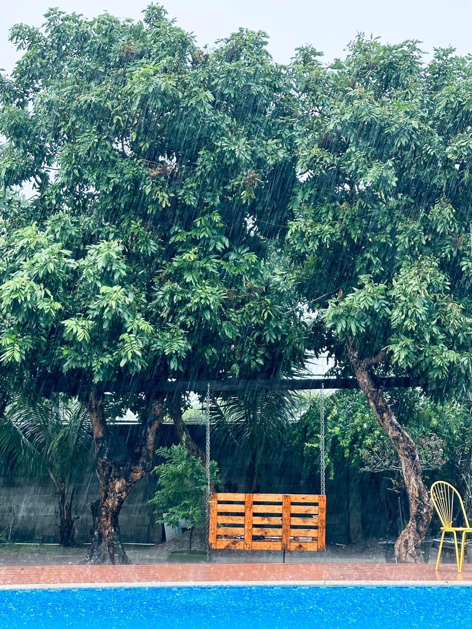 Một số hình ảnh nhà vườn của Mỹ Tâm ở Củ Chi. Ảnh: Chụp màn hình, FBNV