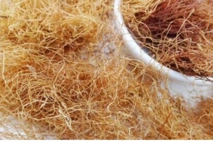 Vị thuốc dưỡng gan, bổ cho tim mạch, nhiều người không biết vẫn hay vứt bỏ