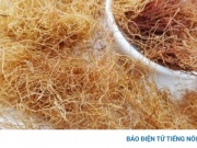 Vị thuốc dưỡng gan, bổ cho tim mạch, nhiều người không biết vẫn hay vứt bỏ