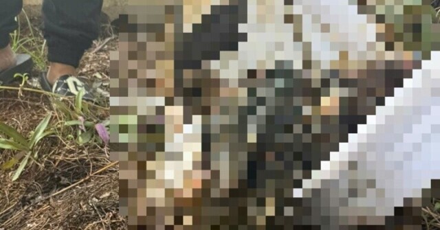 Xuất hiện tin sai sự thật sau vụ phát hiện thi thể tại Bệnh viện Đa khoa Bà Rịa