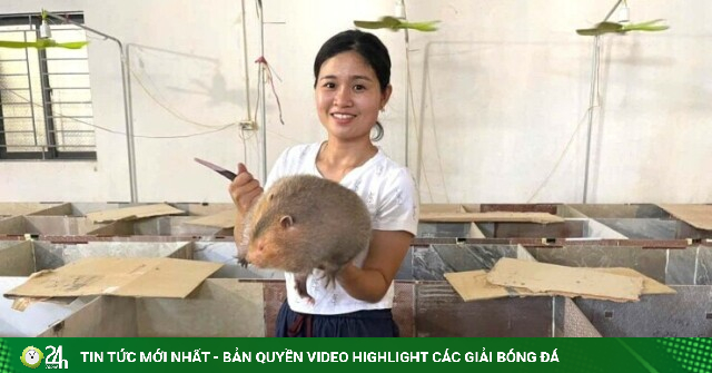 Vợ chồng này về quê Nghệ An nuôi con vật thích nằm gặm tre trong chuồng mát, chăm nhàn, lãi tốt, bán dễ như bóc kẹo