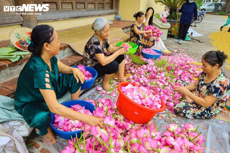 Trong quá trình thực hiện, trà và gạo sen được xếp xen kẽ thành từng lớp mỏng, sau đó phủ giấy và tiếp tục ủ nhiều lần để hương sen thấm đều vào trà trước khi đem sấy khô.