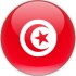 Trực tiếp bóng đá Thụy Điển - Tunisia: Bàn thứ 5 ấn định (World Cup) (Hết giờ) - 1
