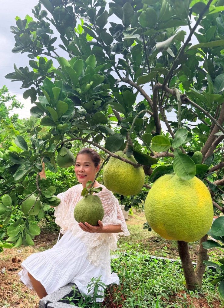Dù bận rộn với vai trò Phó Chủ tịch tập đoàn nhưng Mỹ Lệ luôn dành thời gian cho việc chăm sóc vườn tược. Ảnh: FBNV