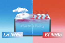 El Nino gây nắng nóng cực độ như thế nào?