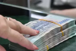 Cục Thuế nói về những đường dây bán hóa đơn khống