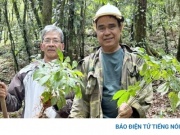 Bí mật khiến cả làng người Xê Đăng thành tỷ phú